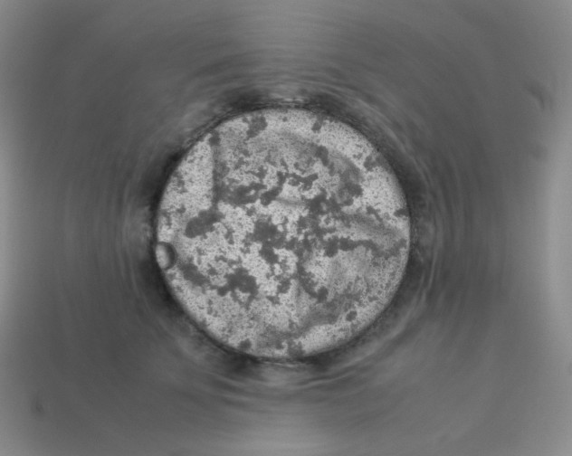 X0000113310707200910131107