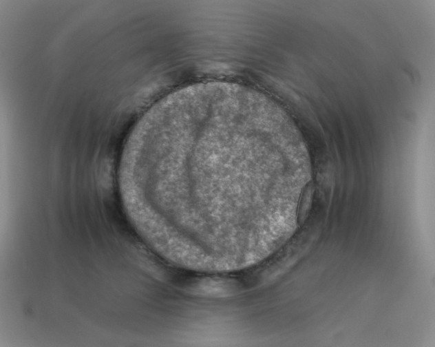 X0000113310708200910131107