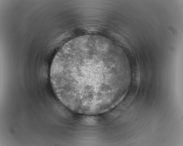 X0000113310710200910131107