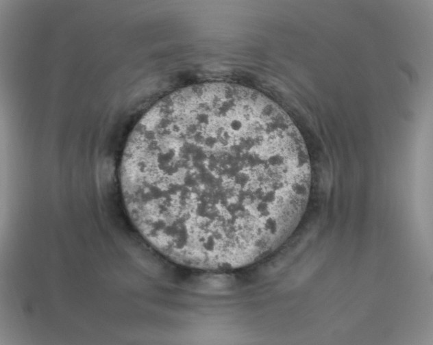 X0000113310711200910131107