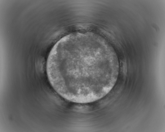 X0000113310712200910131107