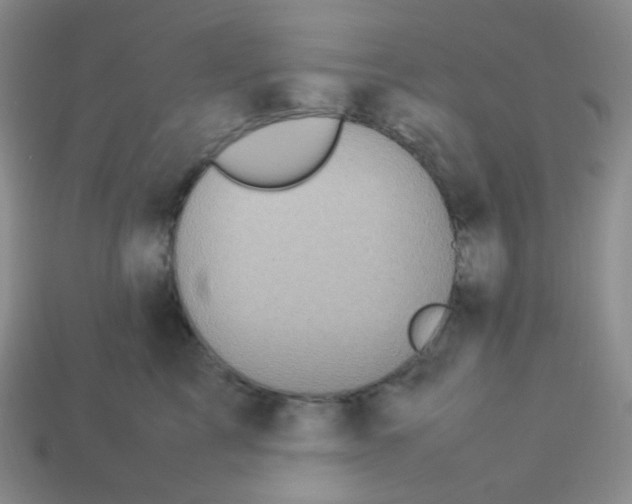 X0000113310713200910131107