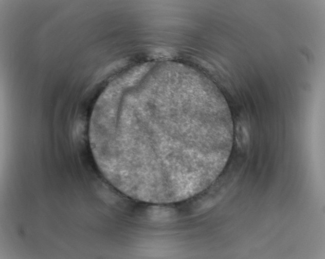 X0000113310714200910131107