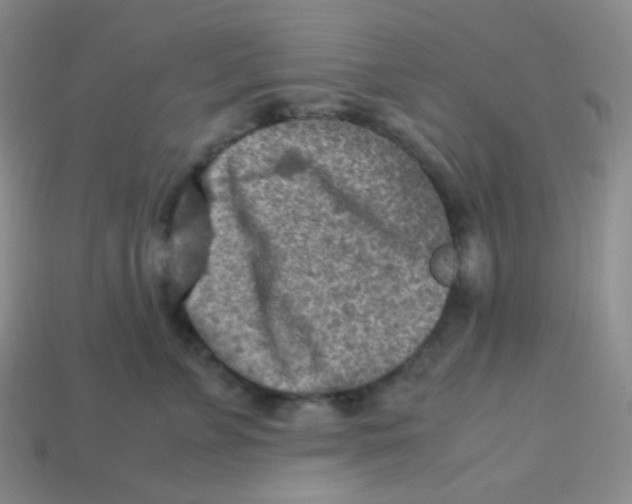 X0000113310715200910131107