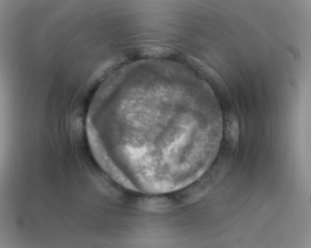 X0000113310716200910131107