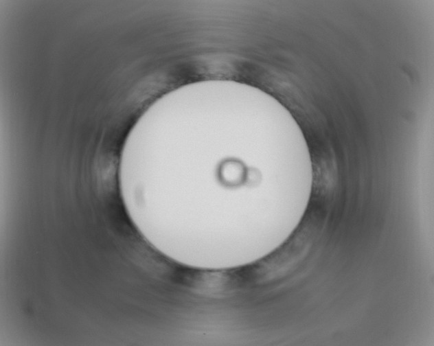 X0000113310717200910131107