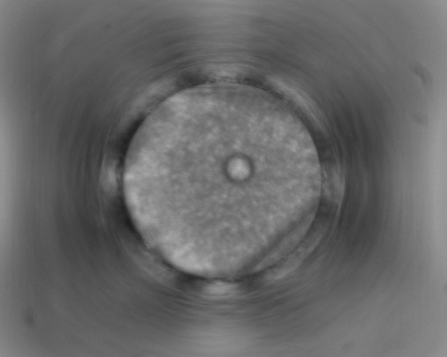 X0000113310718200910131107