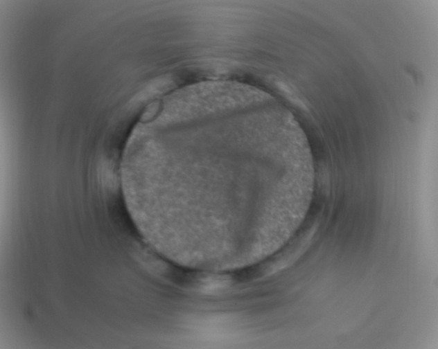 X0000113310719200910131107