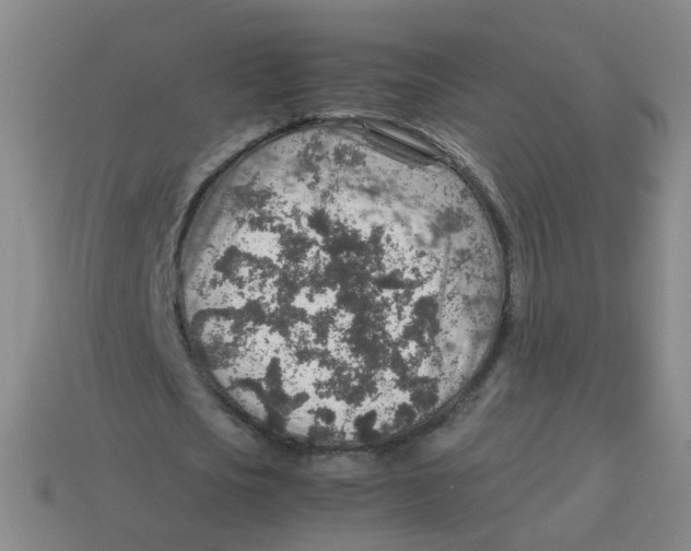 X0000113310721200910131107