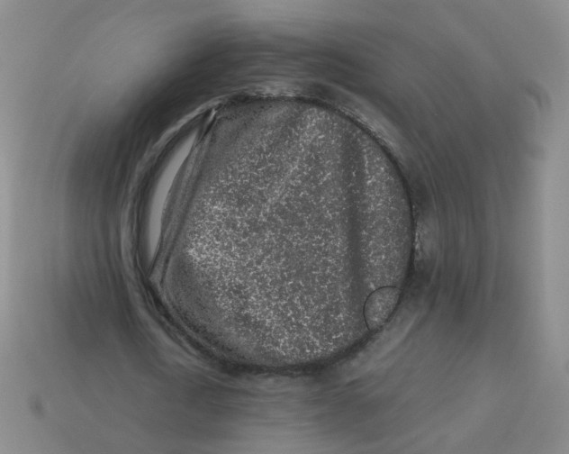 X0000113310722200910131107