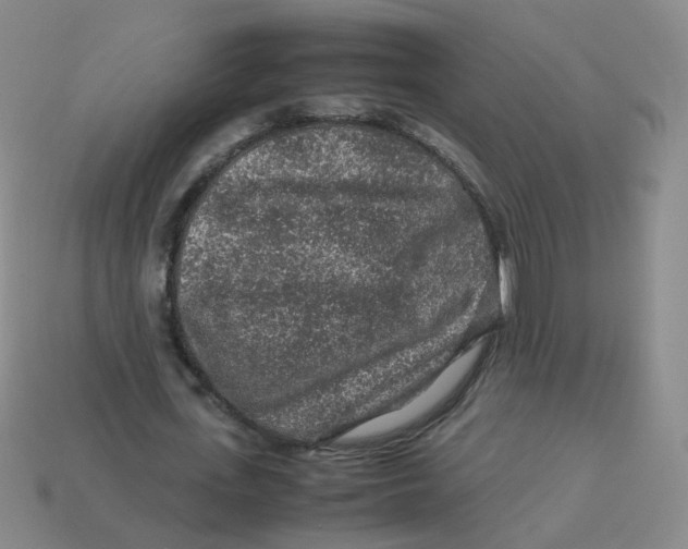 X0000113310723200910131107