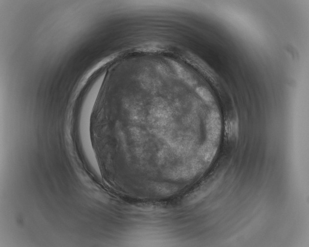 X0000113310724200910131107