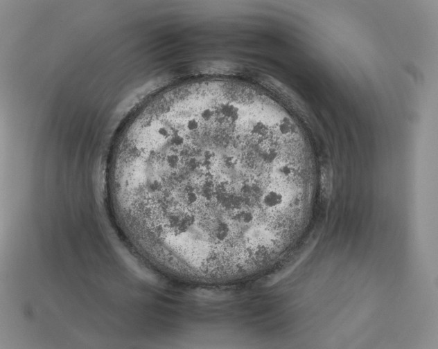 X0000113310725200910131107