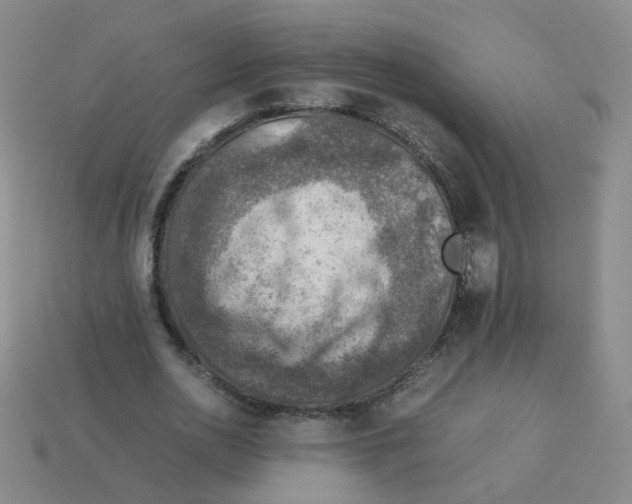 X0000113310726200910131107