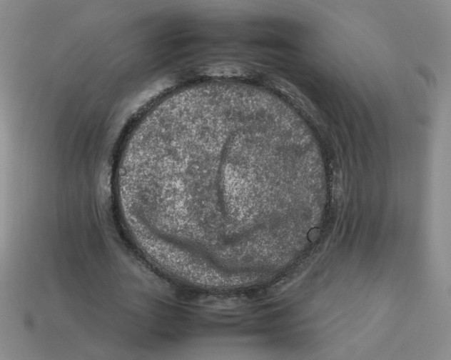 X0000113310727200910131107