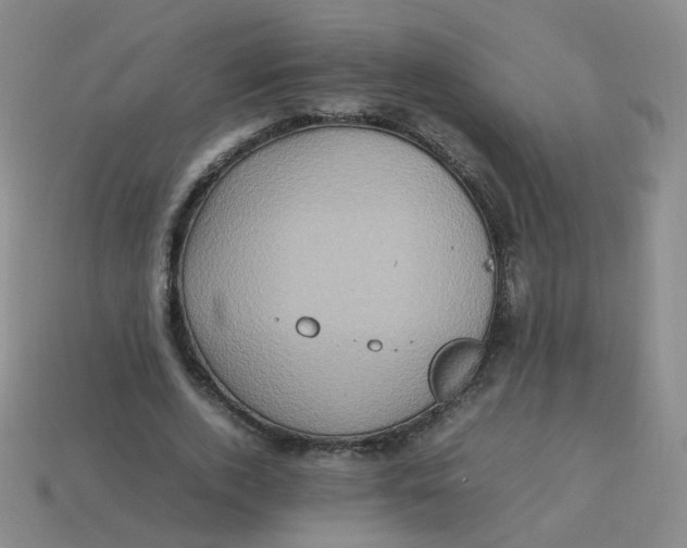 X0000113310728200910131107
