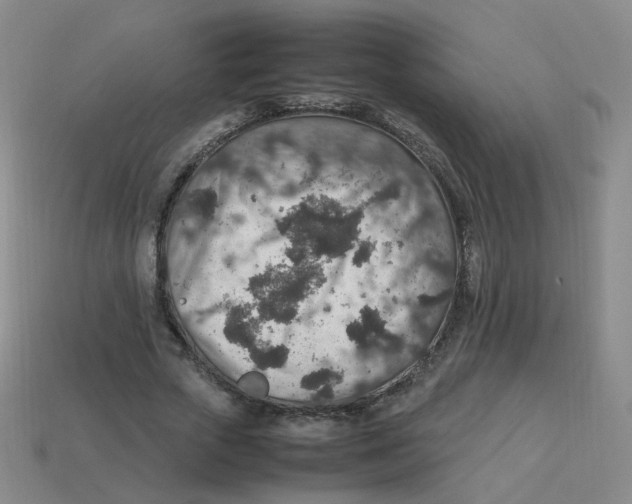 X0000113310729200910131107