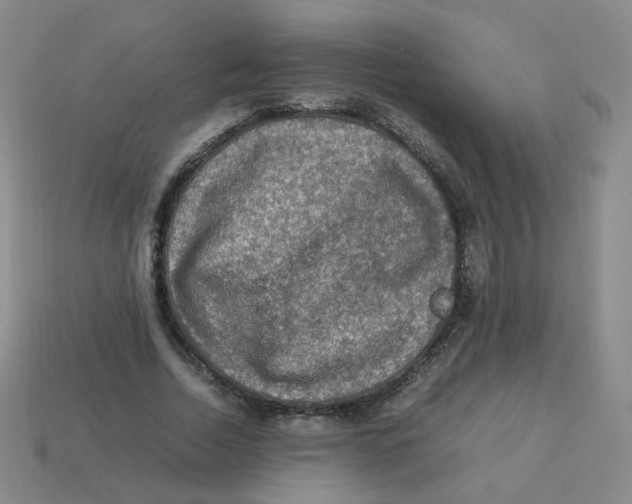 X0000113310730200910131107