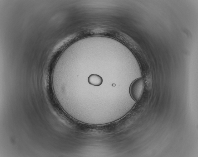 X0000113310732200910131107