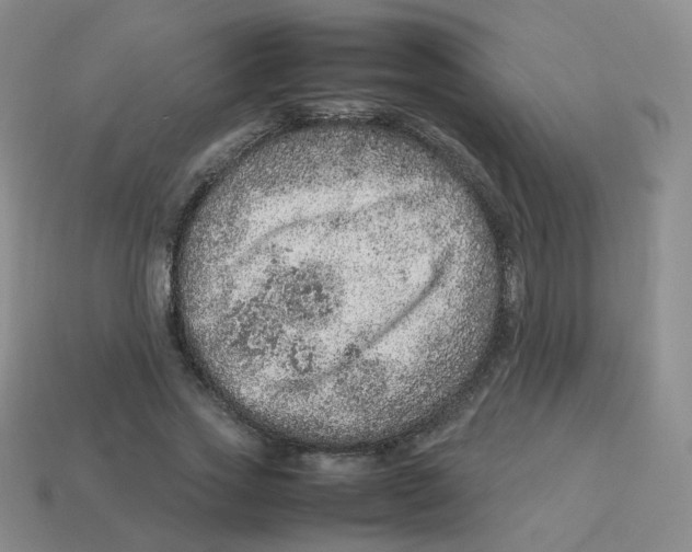 X0000113310733200910131107