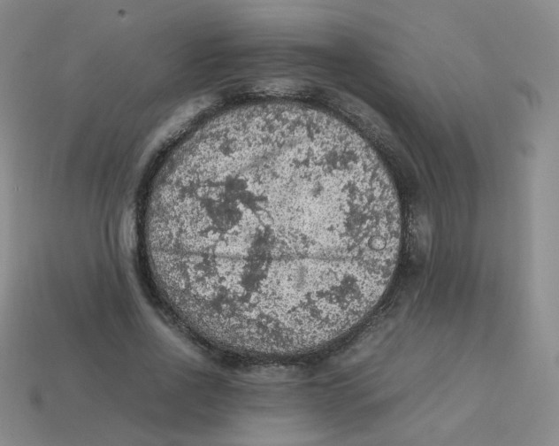 X0000113310734200910131107