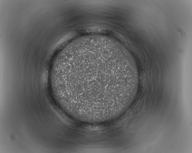 X0000113310735200910131107