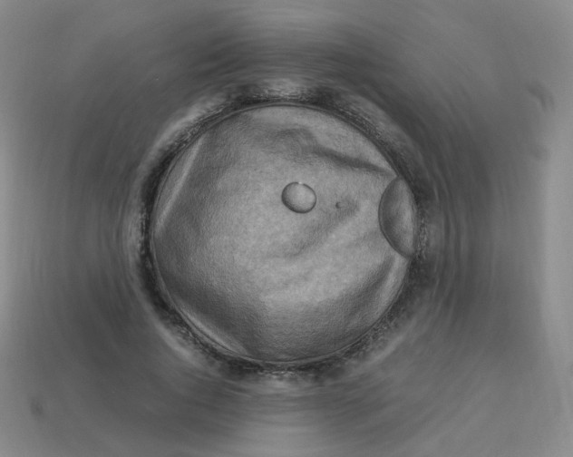 X0000113310736200910131107