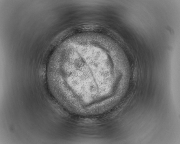 X0000113310737200910131107