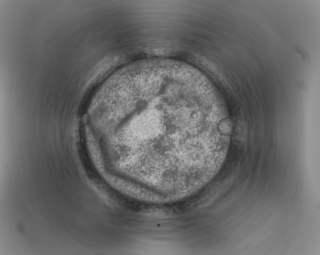 X0000113310738200910131107