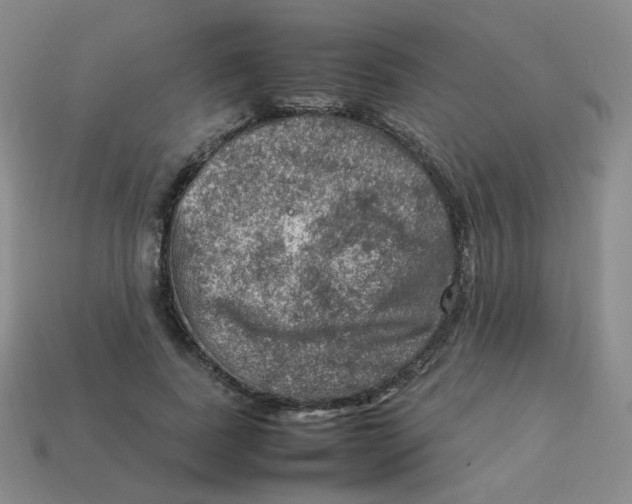 X0000113310739200910131107