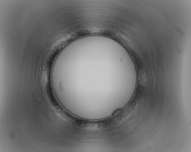 X0000113310740200910131107