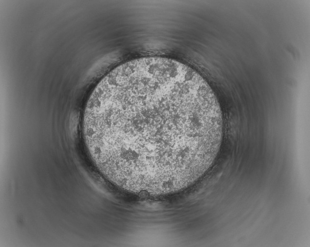 X0000113310742200910131107