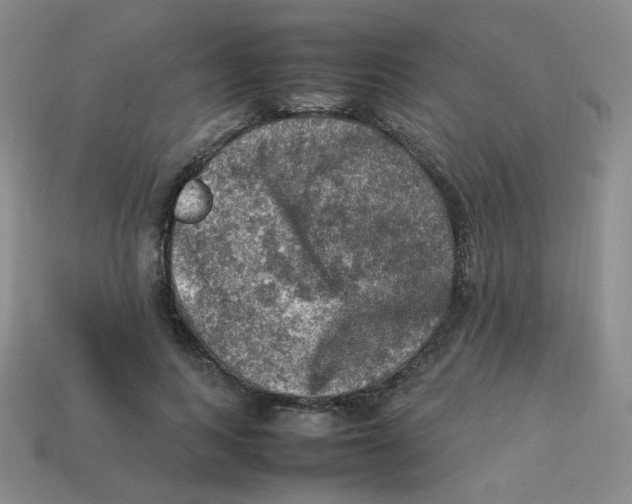 X0000113310743200910131107