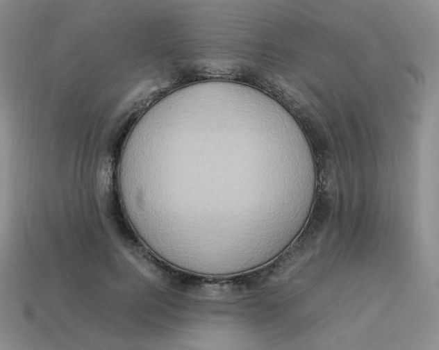 X0000113310744200910131107