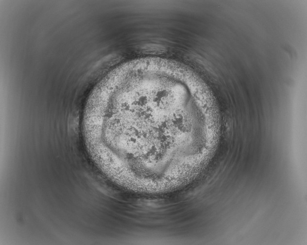 X0000113310745200910131107