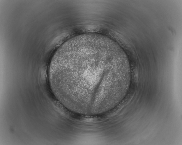 X0000113310746200910131107