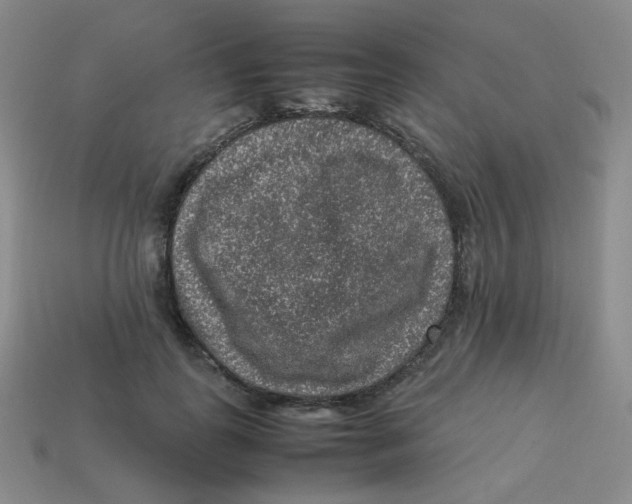 X0000113310747200910131107