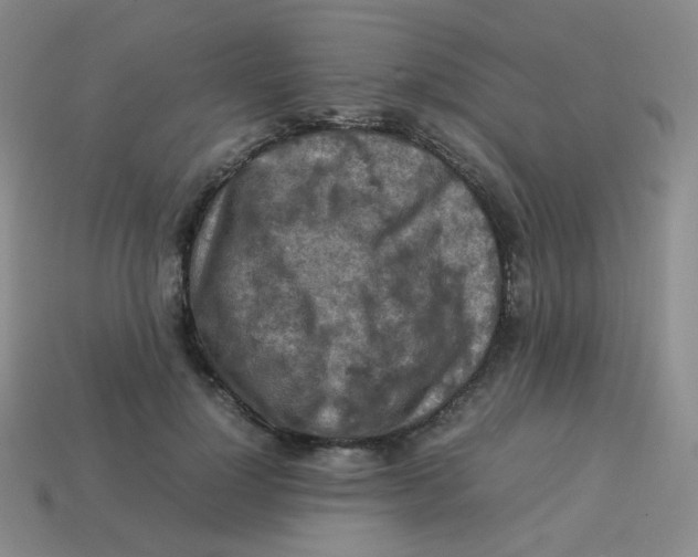 X0000113310748200910131107