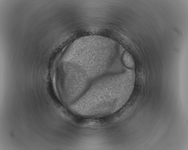 X0000113310750200910131107