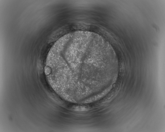 X0000113310751200910131107