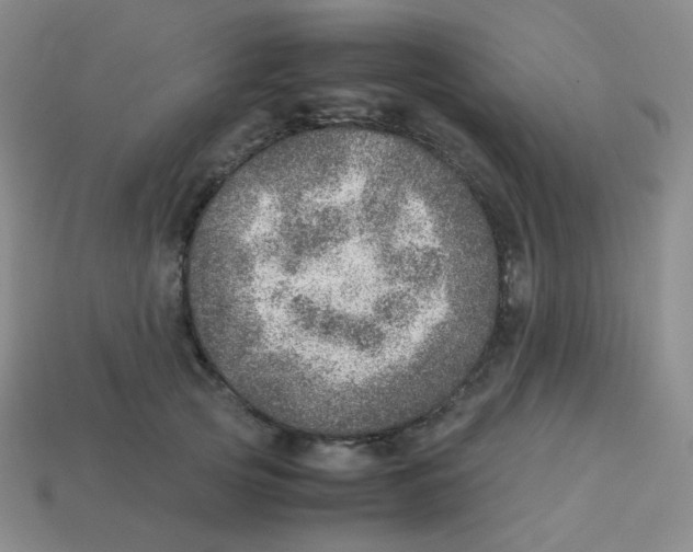 X0000113310753200910131107