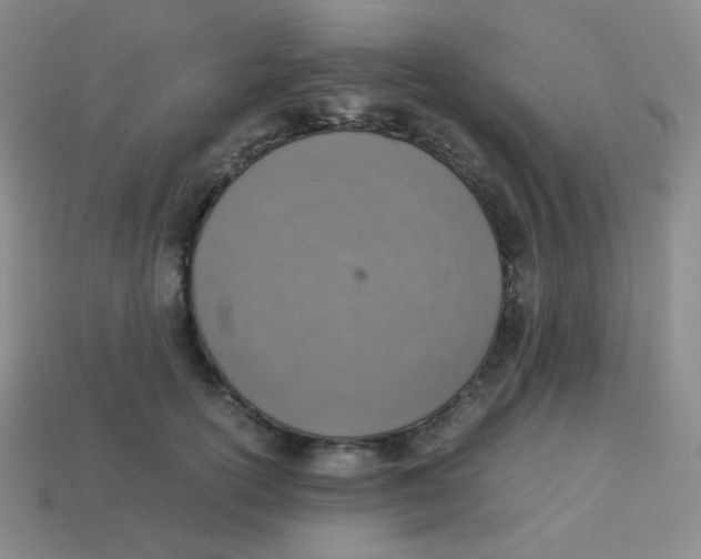 X0000113310754200910131107