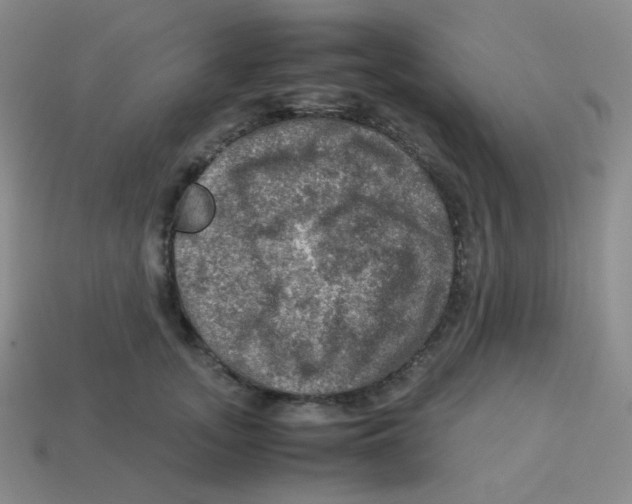 X0000113310755200910131107