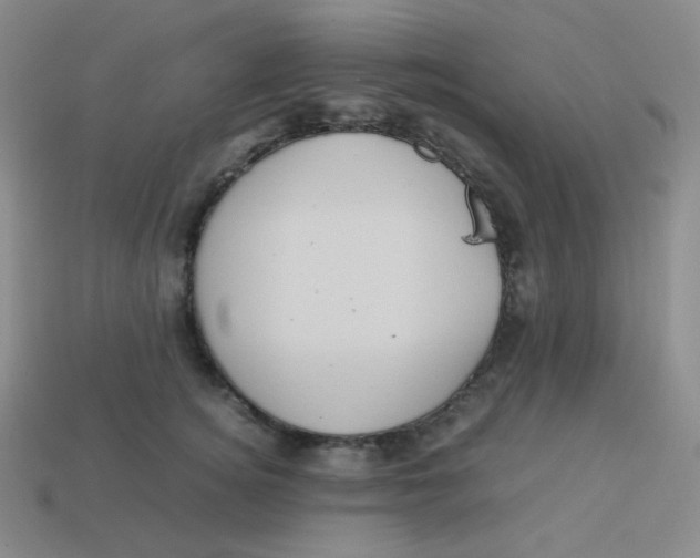 X0000113310756200910131107