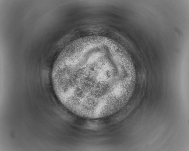 X0000113310757200910131107