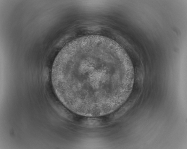 X0000113310758200910131107