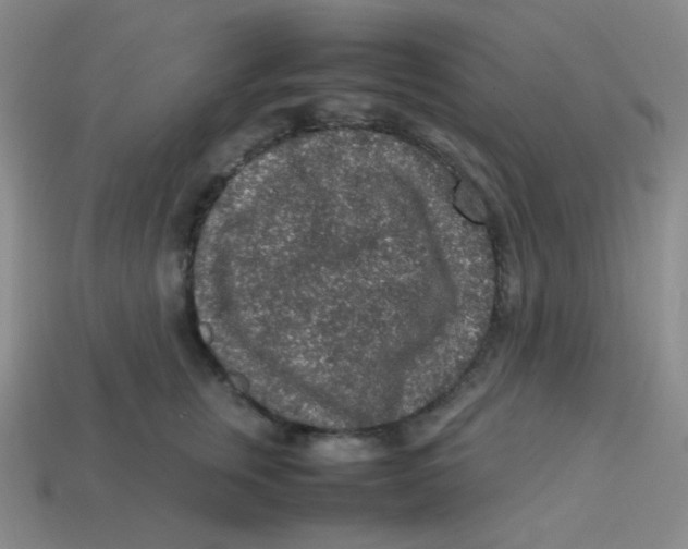 X0000113310759200910131107