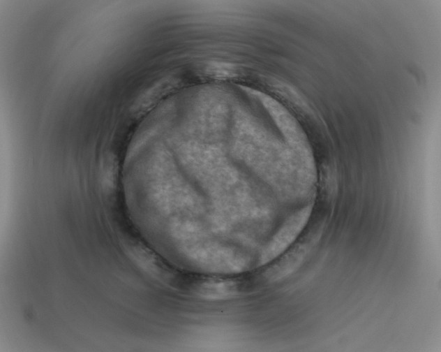 X0000113310760200910131107