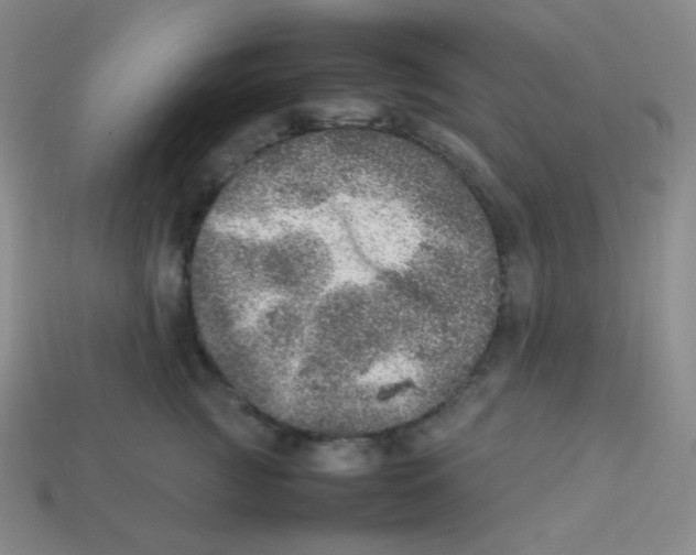 X0000113310761200910131107