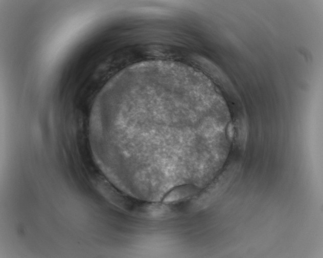 X0000113310762200910131107